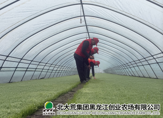 微信图片_20250424100930.png