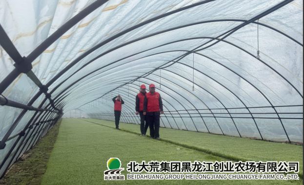 微信图片_20250424101104.png