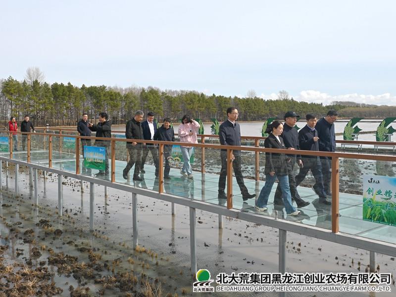 DSC_2647_副本_副本.jpg