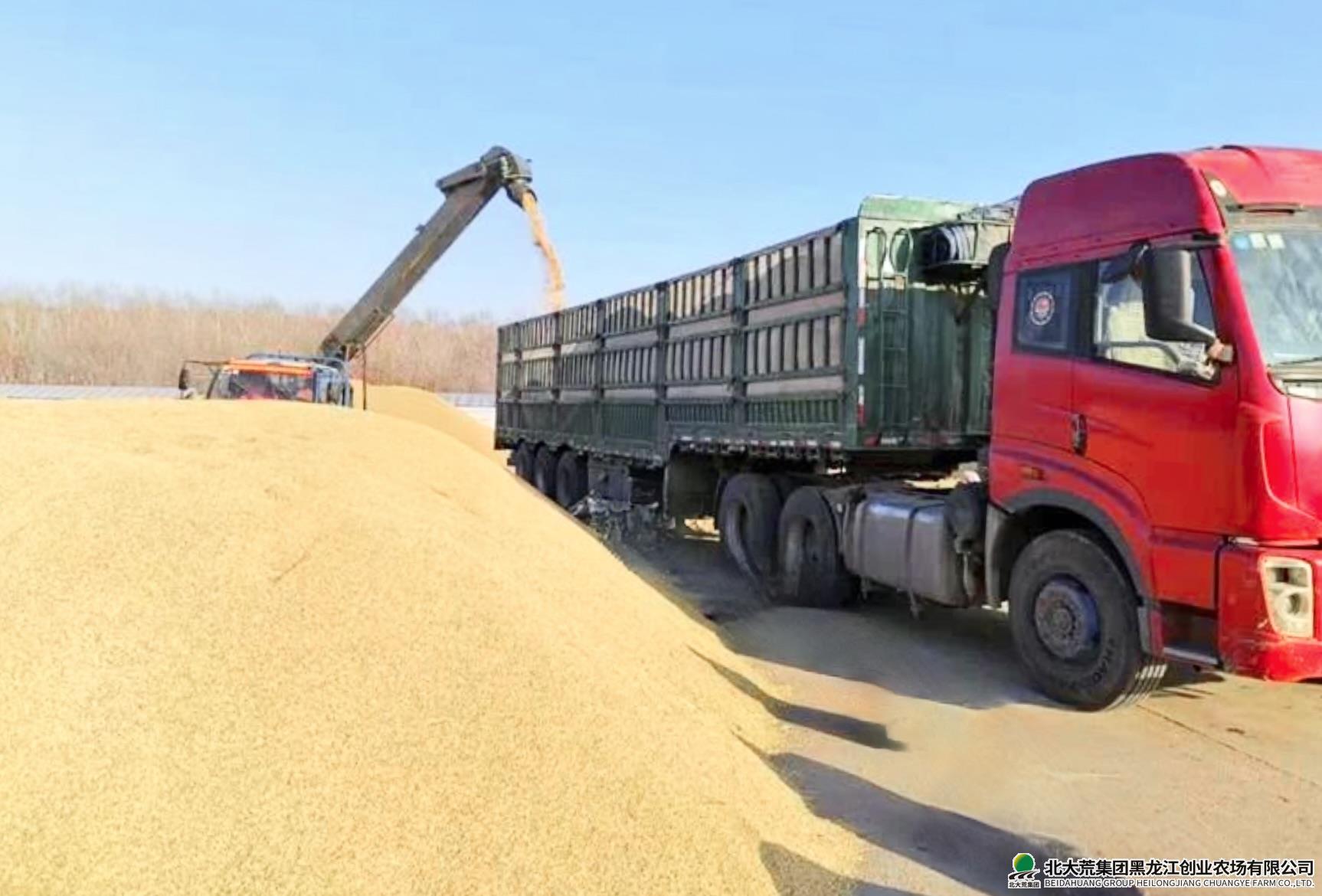 QQ20251022-081436.jpeg QQ20251022-081436.jpeg