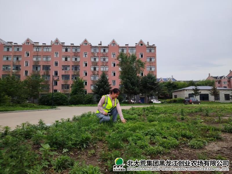 微信图片_20250701084819.jpg