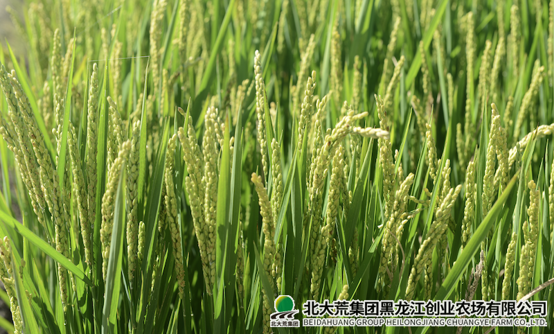 QQ20241216-141902.png