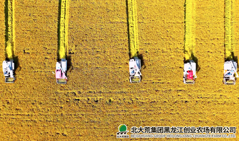 QQ20241216-141833.png