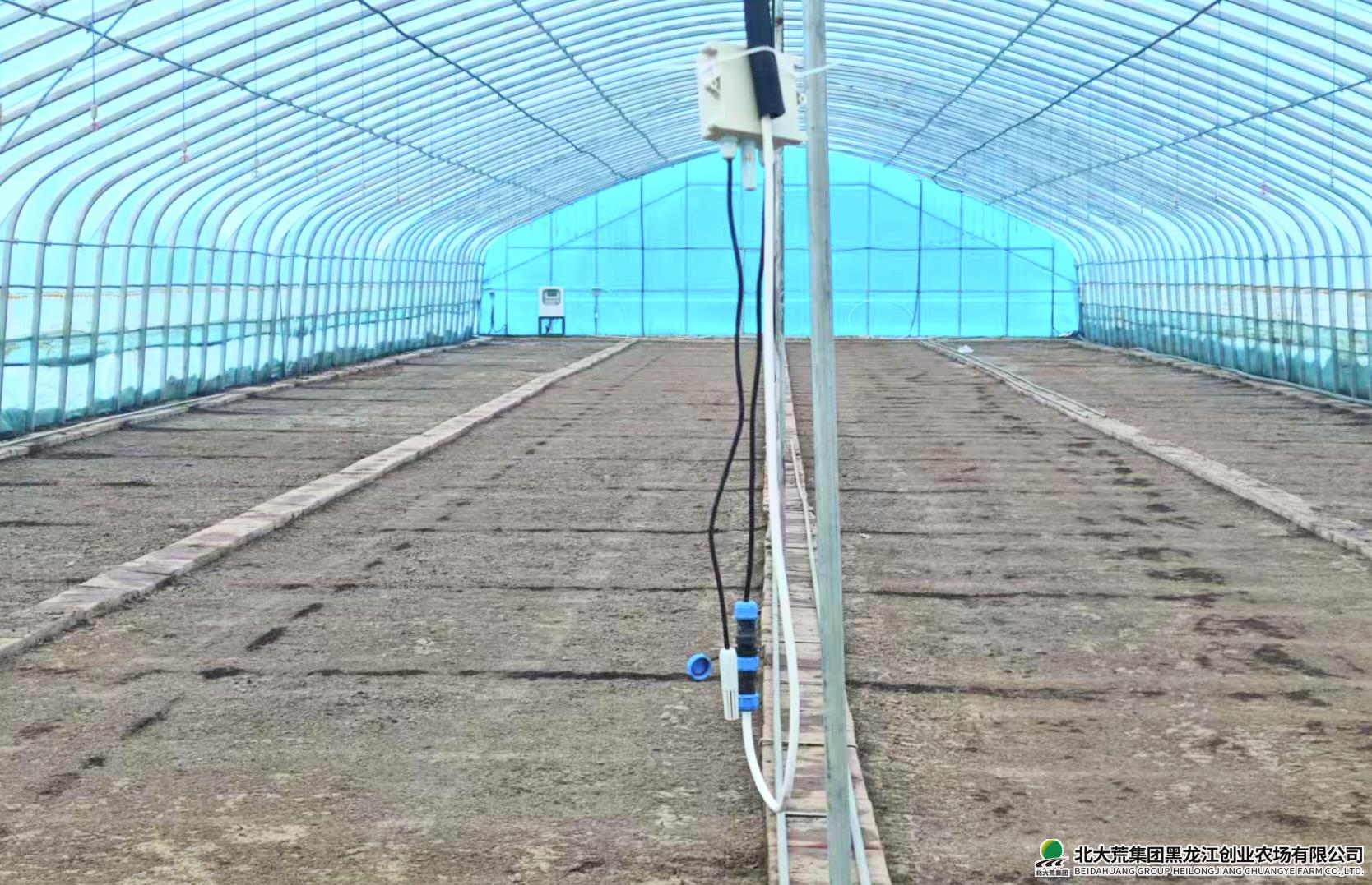 WechatIMG33 2.jpg WechatIMG33 2.jpg