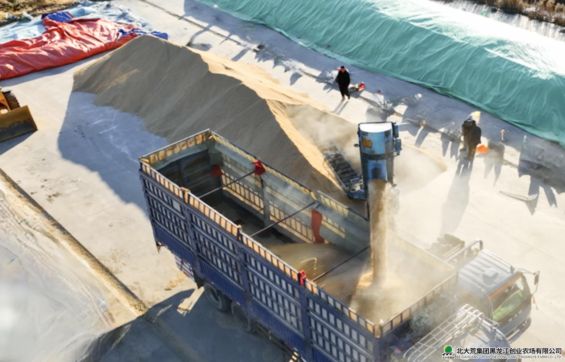 QQ20251030-082430.jpeg QQ20251030-082430.jpeg