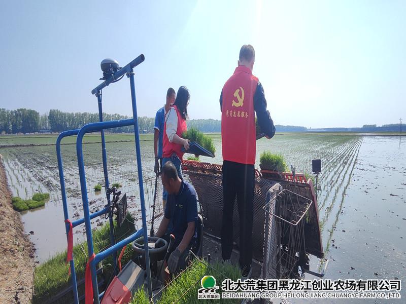 IMG_20260520_141132_副本.jpg