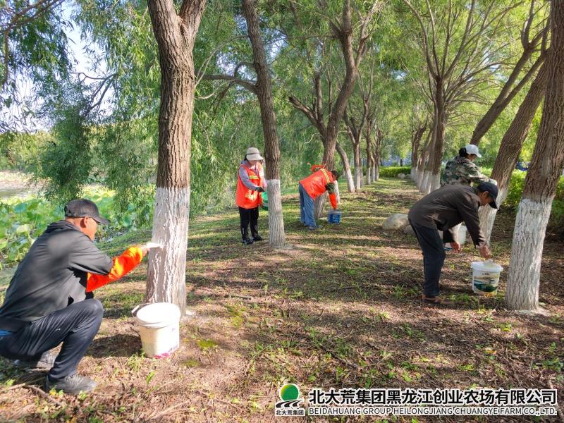 绿化.jpg 绿化.jpg
