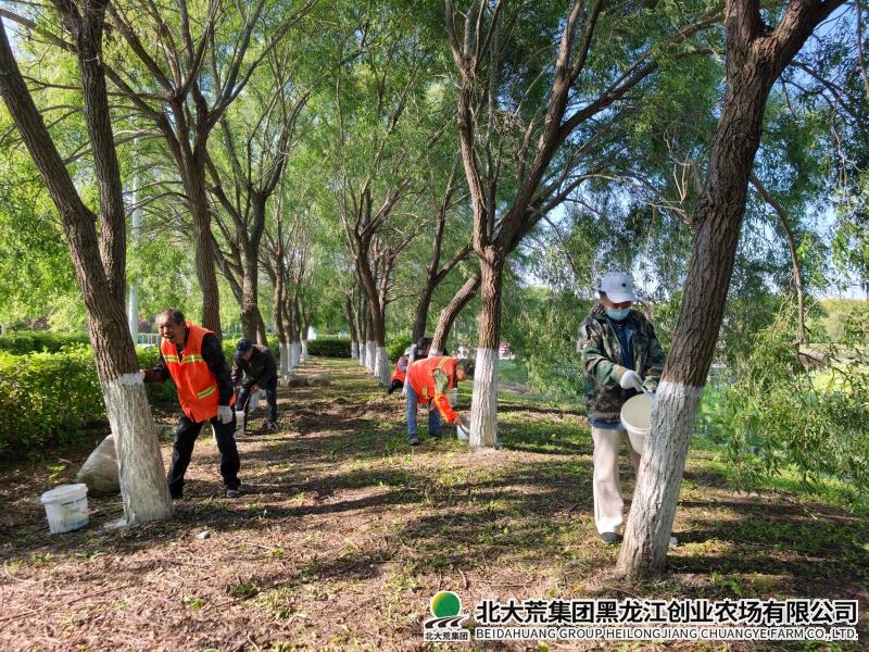 绿化1.jpg 绿化1.jpg