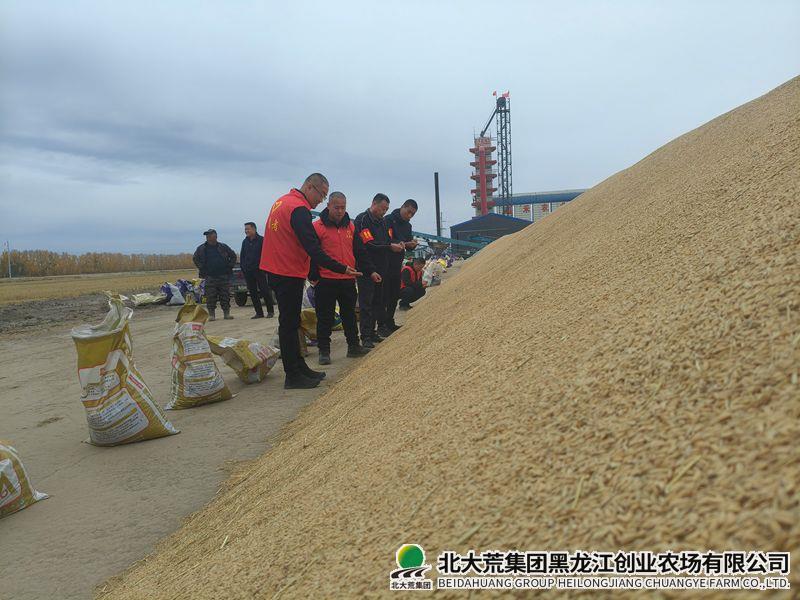 微信图片_20261013101719_副本800.jpg 微信图片_20261013101719_副本800.jpg