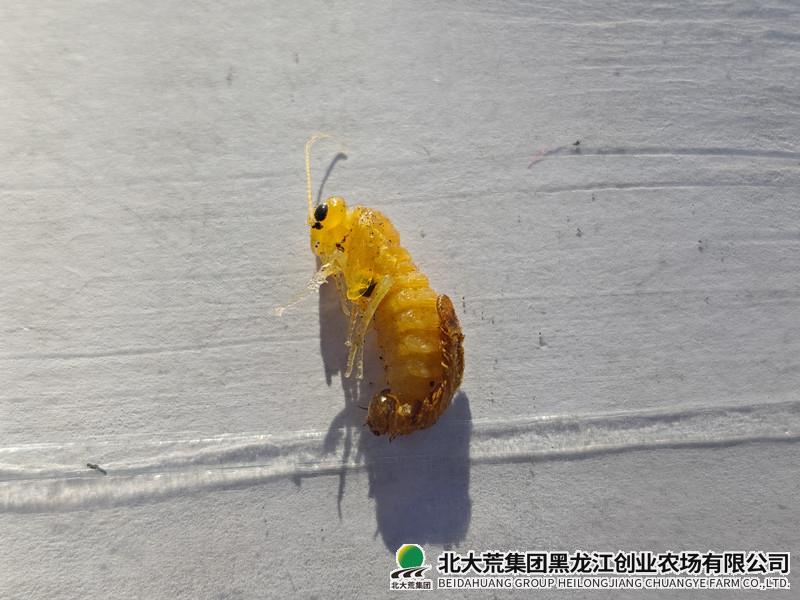 713e682928018e0afd21223be837eb3_副本.jpg