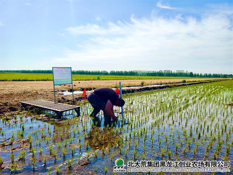 cb60e84127f6aa207028b58f7acc0cf0 - 副本.jpg cb60e84127f6aa207028b58f7acc0cf0 - 副本.jpg