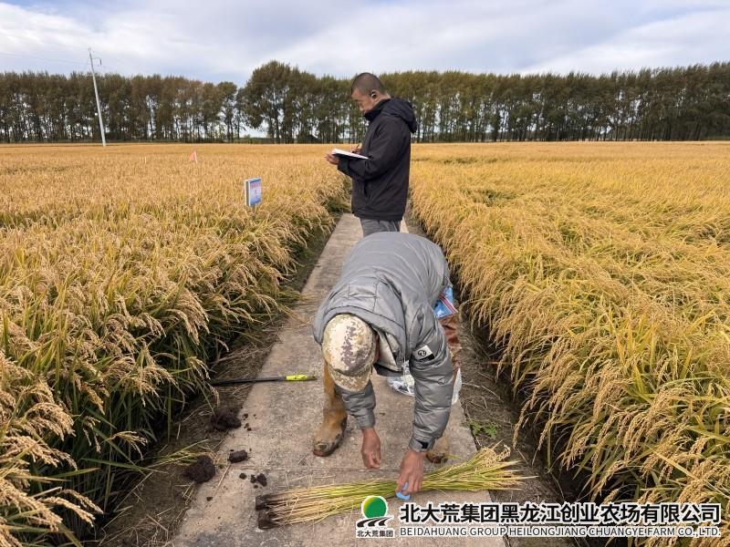 92d7bae37f7c8d96dc78340f6f8ad7d_副本.jpg
