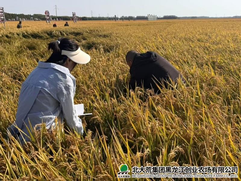 c38d197c8805429ab71e085527c41d2_副本.jpg
