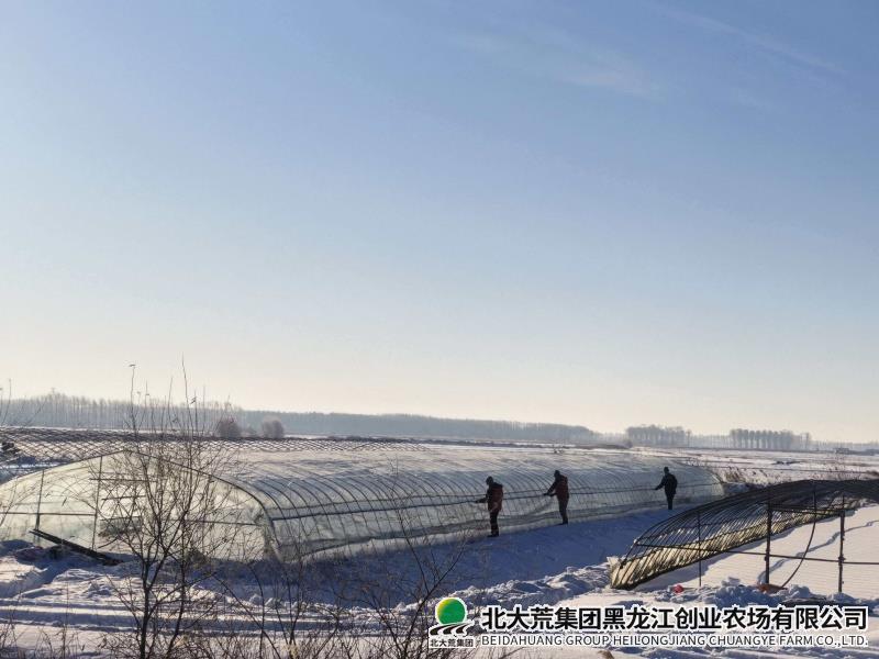 mmexport1770078951487.jpg mmexport1770078951487.jpg