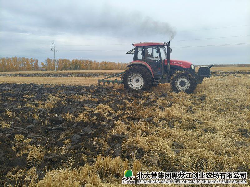 微信图片_20261013101704_副本800.jpg 微信图片_20261013101704_副本800.jpg