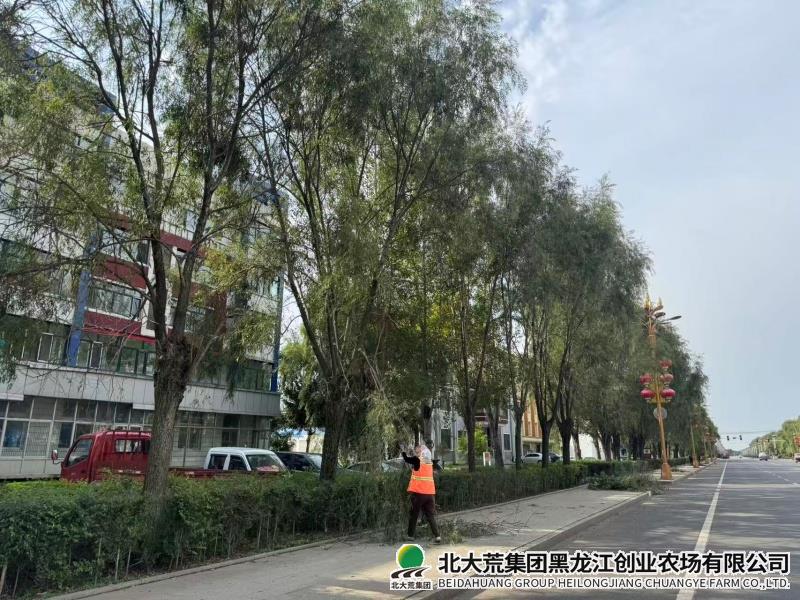 双轨制.jpg 双轨制.jpg
