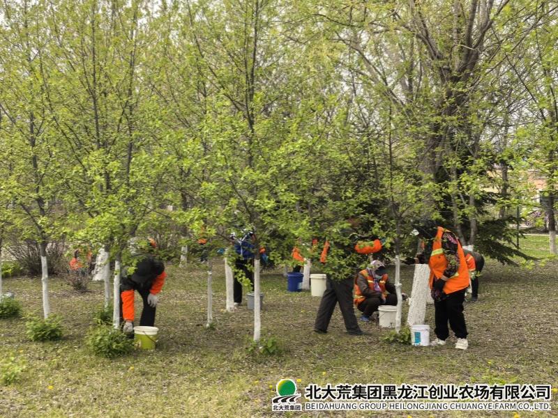 微信图片_20260511234407.jpg