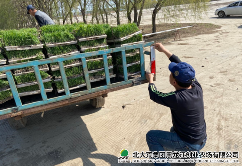 微信图片_2026-05-12_090615_839.png 微信图片_2026-05-12_090615_839.png