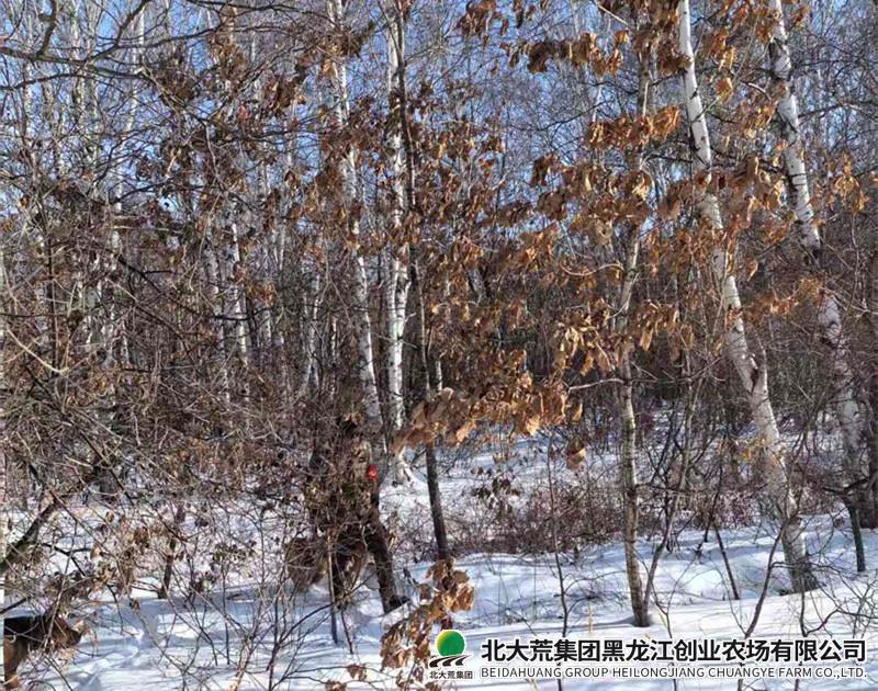 72cd4_副本_副本.jpg 72cd4_副本_副本.jpg