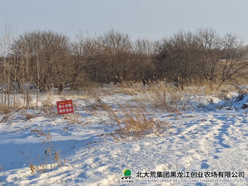 8722_副本.jpg 8722_副本.jpg