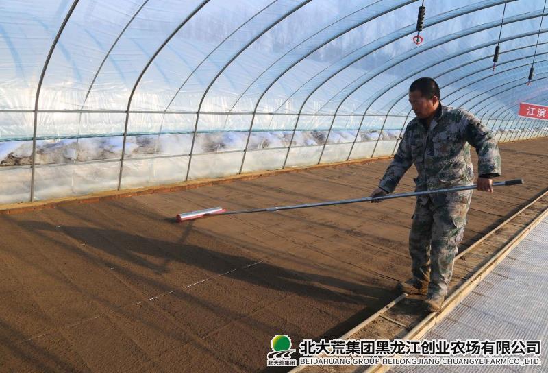 摆盘标准.jpg 摆盘标准.jpg