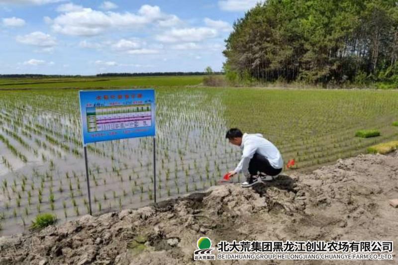 叶龄.jpg 叶龄.jpg