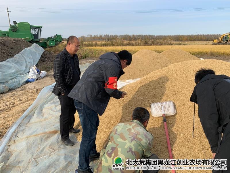 粮食销售.jpg 粮食销售.jpg
