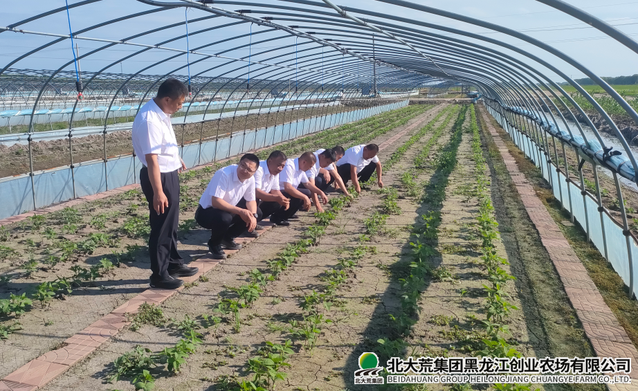 微信图片_20260702092927_113_6.png 微信图片_20260702092927_113_6.png