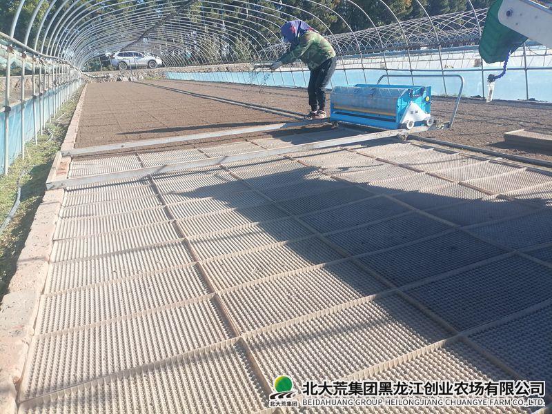 微信图片_20260924081057_副本800.jpg 微信图片_20260924081057_副本800.jpg