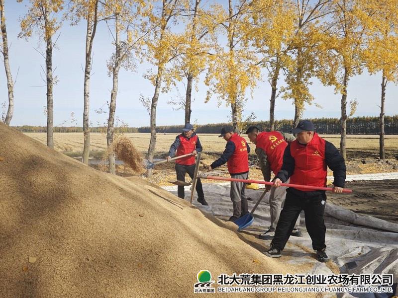 田间一线.jpg 田间一线.jpg