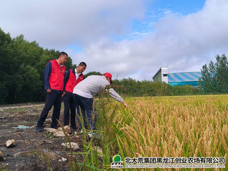 微信图片_202608311020121_副本800.jpg 微信图片_202608311020121_副本800.jpg