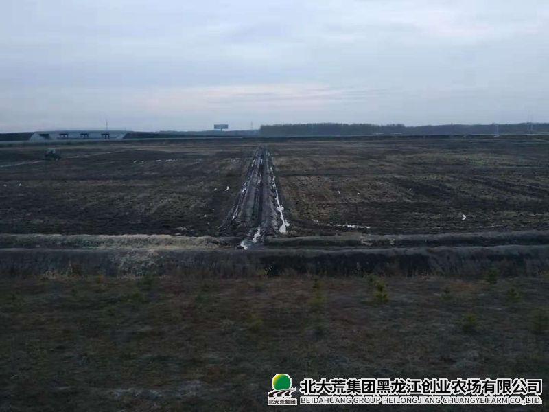 mmexport1540196793157_副本800.jpg