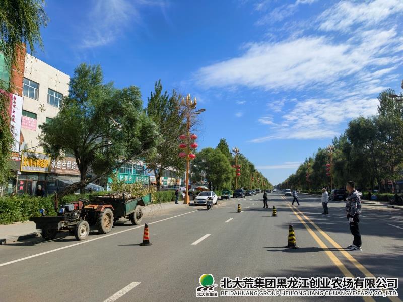 L绿化.jpg L绿化.jpg