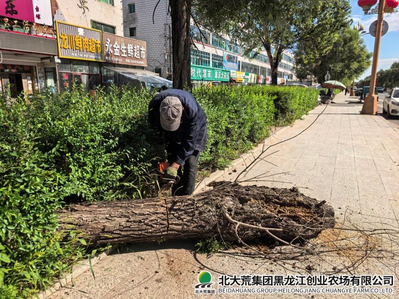 LIUXIN .jpg LIUXIN .jpg