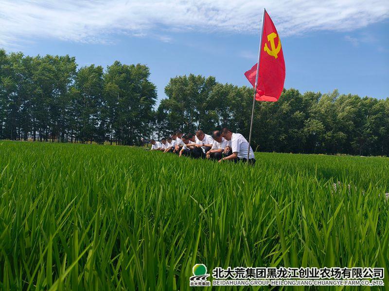 微信图片_20260701143639_87_54_副本800.jpg 微信图片_20260701143639_87_54_副本800.jpg