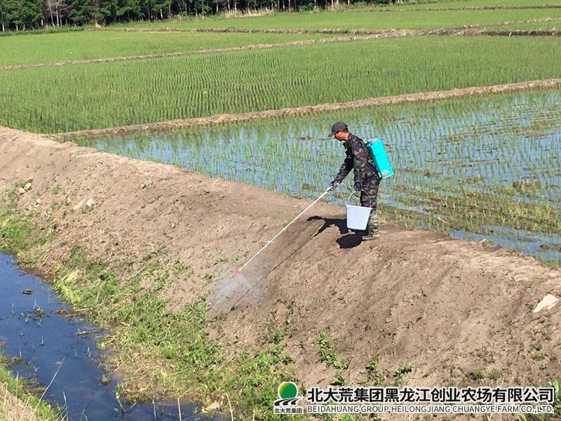 微信图片_20260603085955_副本800.jpg 微信图片_20260603085955_副本800.jpg