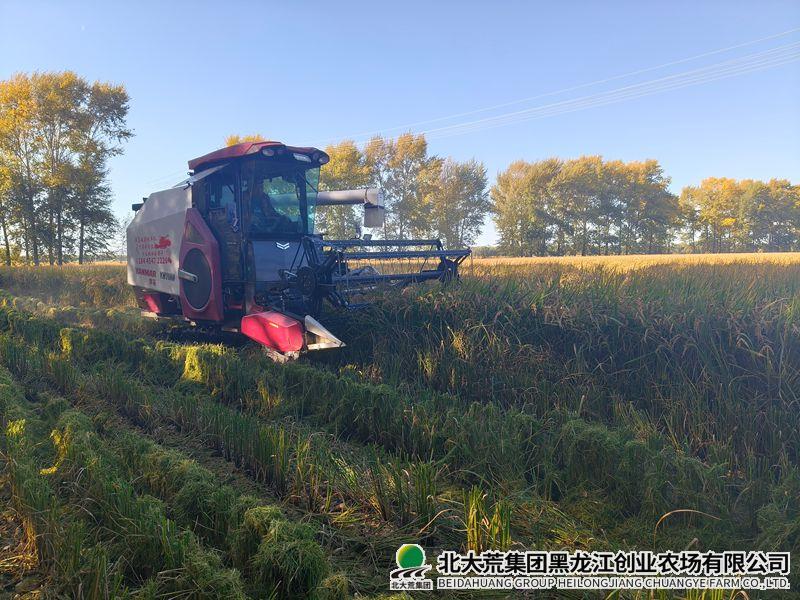 微信图片_20260922144531_副本800.jpg