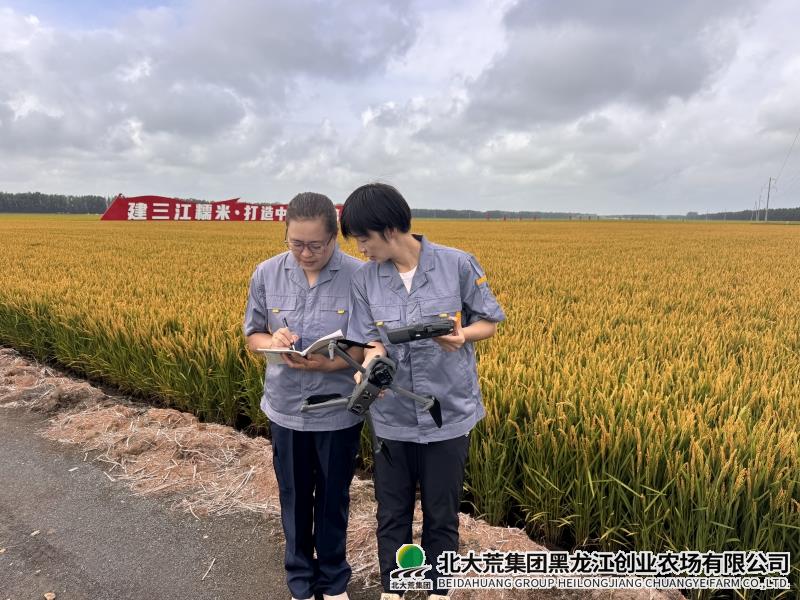 微信图片_20260818140516_副本.jpg 微信图片_20260818140516_副本.jpg