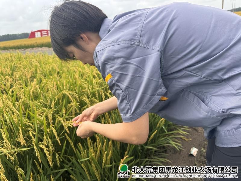 微信图片_202608181405161_副本.jpg 微信图片_202608181405161_副本.jpg