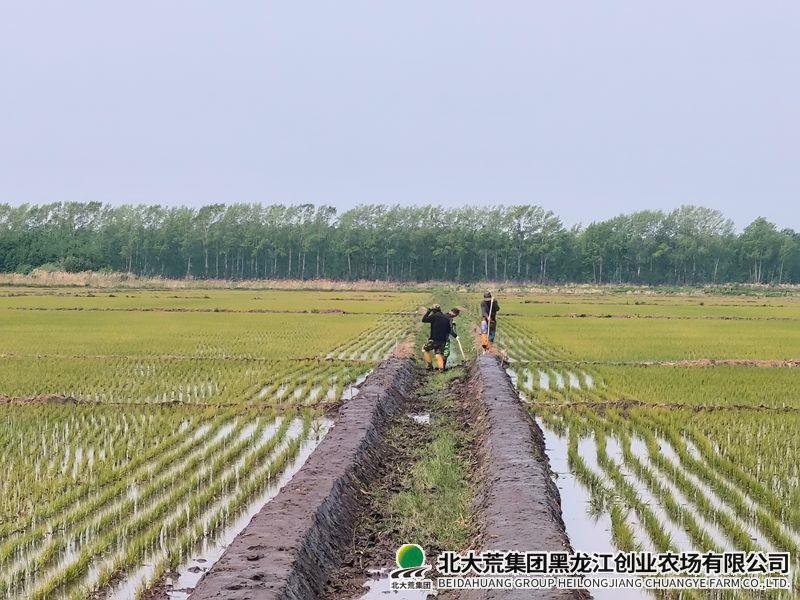 微信图片_20260528102035_副本800.jpg 微信图片_20260528102035_副本800.jpg