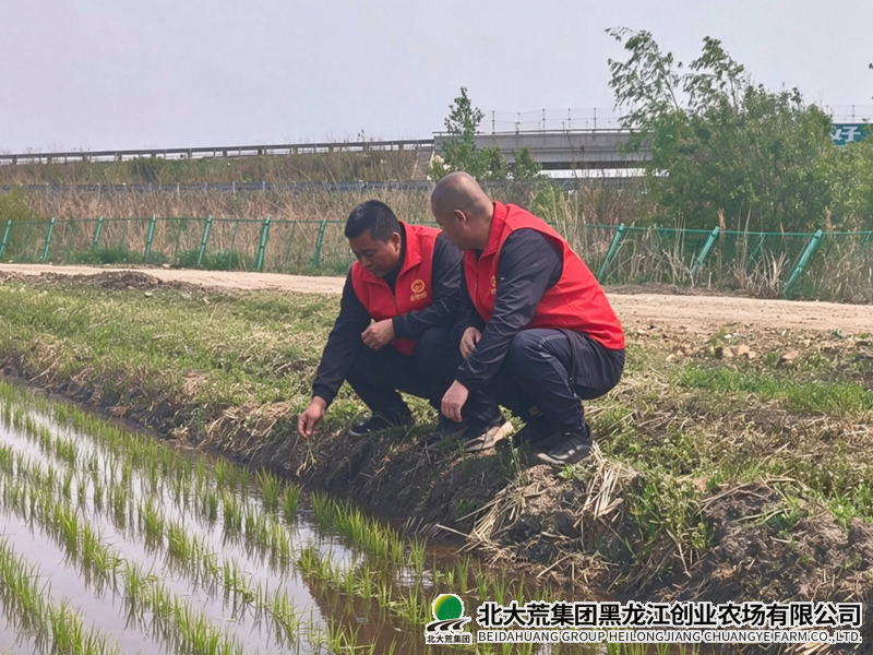 QQ20260611-080540_副本800.png
