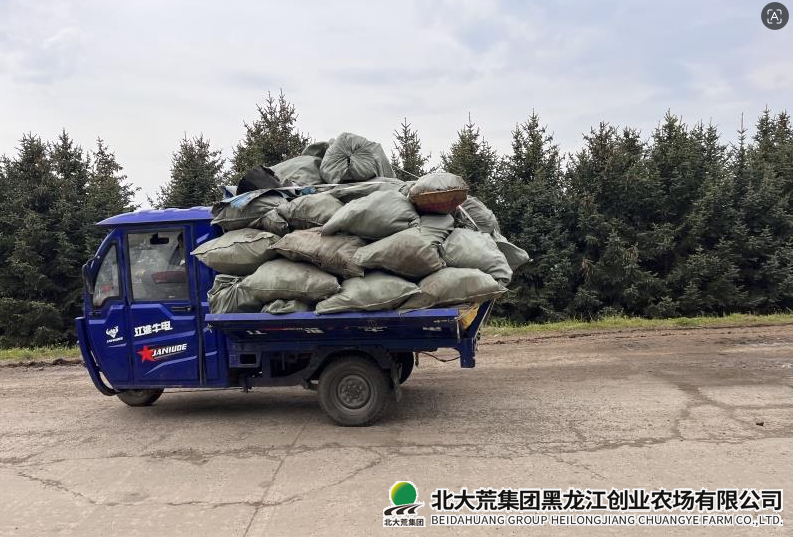 微信图片_20260611155514_81_6.png