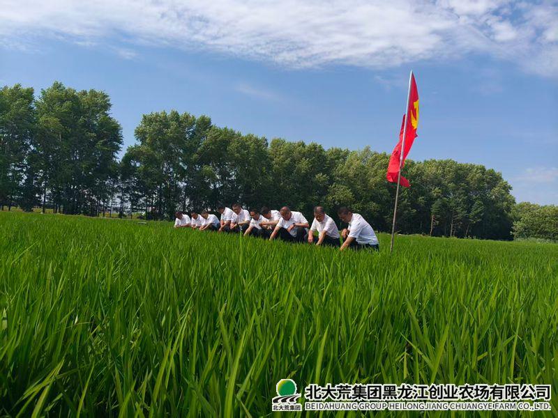 微信图片_20260629141807_50_54_副本800.jpg