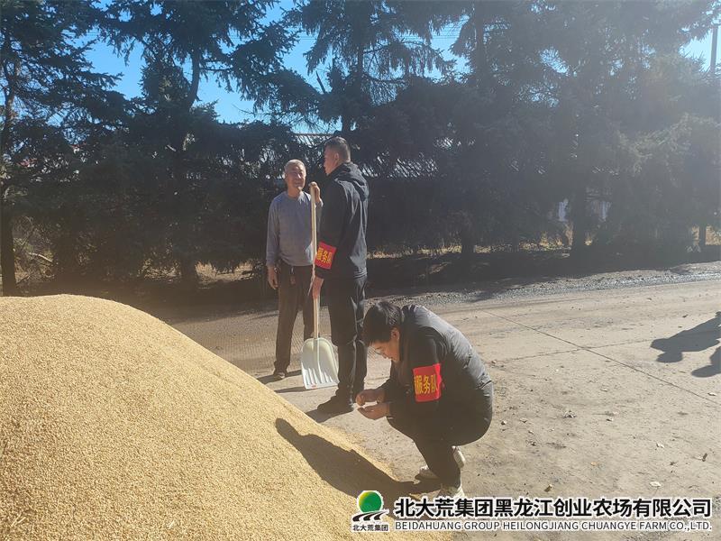 IMG20261013092626 - 副本.jpg IMG20261013092626 - 副本.jpg