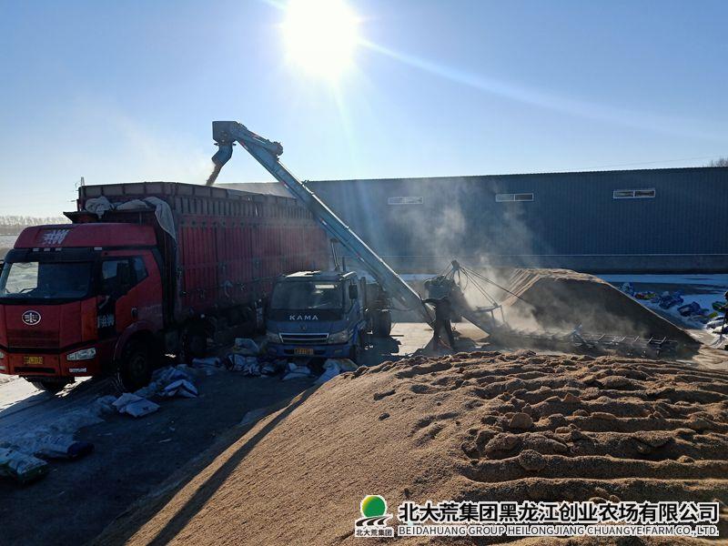 卖粮照片IMG20260126112713_副本800.jpg 卖粮照片IMG20260126112713_副本800.jpg