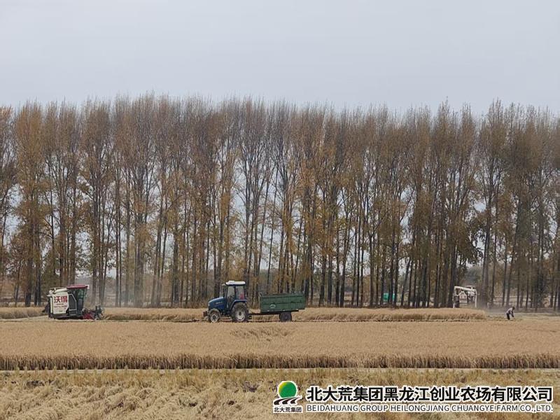 b0d1b26bbb0d2880cd4dae3cadbd64b0_副本.jpg b0d1b26bbb0d2880cd4dae3cadbd64b0_副本.jpg